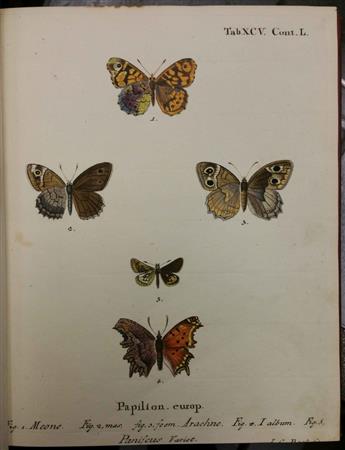 (BUTTERFLIES.) Esper, Johann Christoph; Charpentier, Touissant von. Die Schmetterlinge in Abbildungen nach der Natur mit Beschreibungen